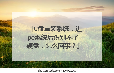 U盘重装系统，进pe系统后识别不了硬盘，怎么回事？