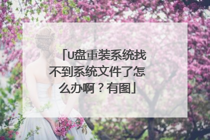 U盘重装系统找不到系统文件了怎么办啊?有图