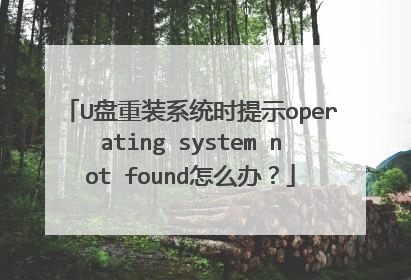 U盘重装系统时提示operating system not found怎么办？