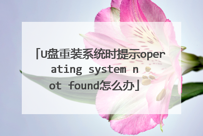 U盘重装系统时提示operating system not found怎么办