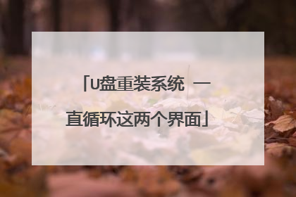U盘重装系统 一直循环这两个界面
