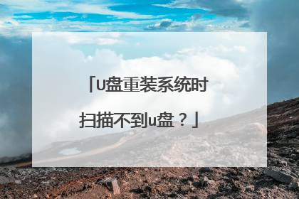U盘重装系统时扫描不到u盘？