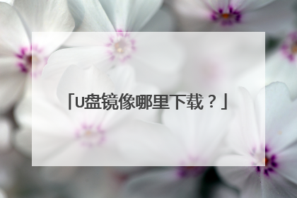 U盘镜像哪里下载?