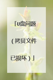 U盘问题(拷贝文件已损坏)