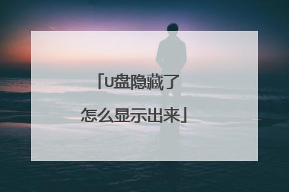 U盘隐藏了 怎么显示出来