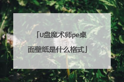 U盘魔术师pe桌面壁纸是什么格式