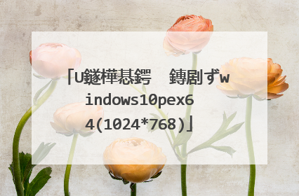 U鐩樺惎鍔� 鏄剧ずwindows10pex64(1024*768)