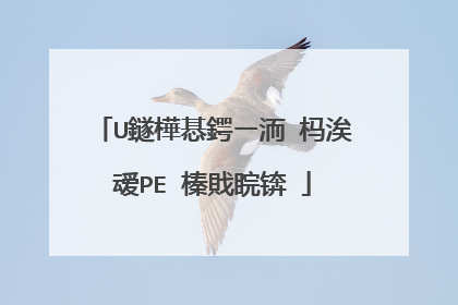 U鐩樺惎鍔ㄧ洏 杩涘叆PE 榛戝睆锛�
