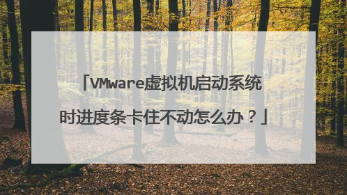 VMware虚拟机启动系统时进度条卡住不动怎么办?