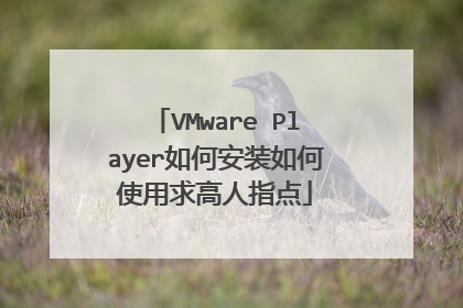 VMware Player如何安装如何使用求高人指点
