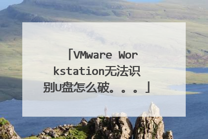 VMware Workstation无法识别U盘怎么破。。。