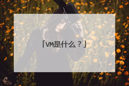 VM是什么?