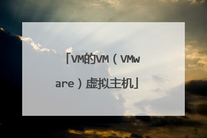 VM的VM(VMware)虚拟主机