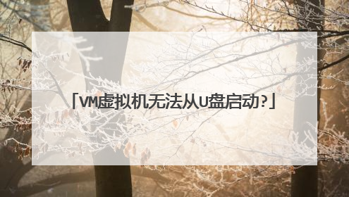 VM虚拟机无法从U盘启动?
