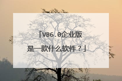 VB6.0企业版是一款什么软件?