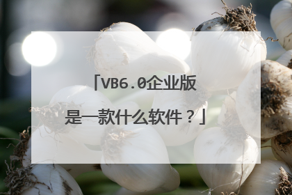VB6.0企业版是一款什么软件?