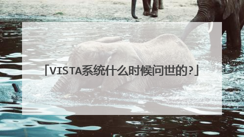 VISTA系统什么时候问世的?