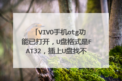VIVO手机otg功能已打开,U盘格式是FAT32,插上U盘找不到盘符怎么打开U盘?