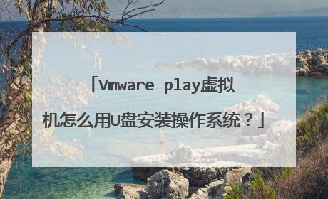 Vmware play虚拟机怎么用U盘安装操作系统?