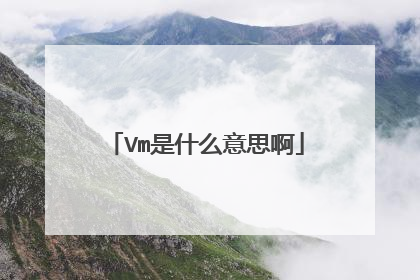 Vm是什么意思啊