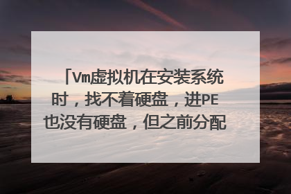 Vm虚拟机在安装系统时,找不着硬盘,进PE也没有硬盘,但之前分配了硬盘的,分区与不分区,都不可以看