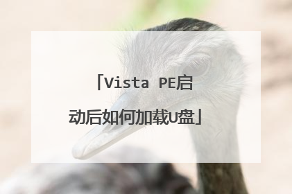 Vista PE启动后如何加载U盘