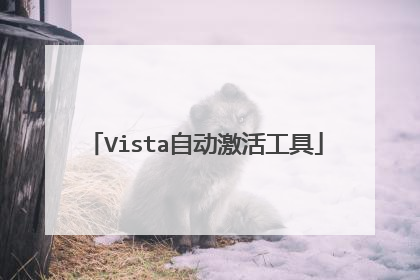 Vista自动激活工具