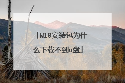 W10安装包为什么下载不到u盘