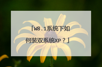 W8.1系统下如何装双系统XP？