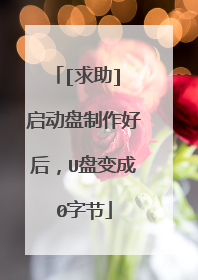 [求助] 启动盘制作好后，U盘变成0字节