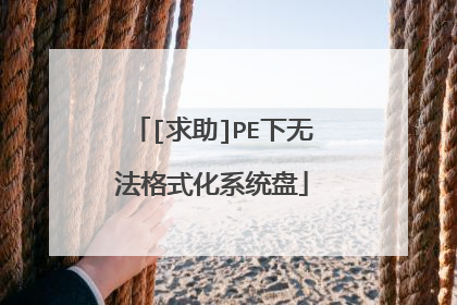 [求助]PE下无法格式化系统盘