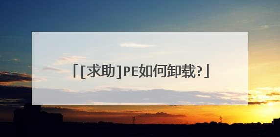 [求助]PE如何卸载?