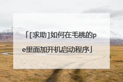 [求助]如何在毛桃的pe里面加开机启动程序