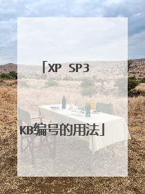 XP SP3 KB编号的用法