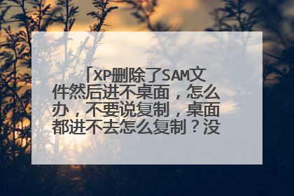 XP删除了SAM文件然后进不桌面,怎么办,不要说复制,桌面都进不去怎么复制?没安装PE系统,所以PE也用不了