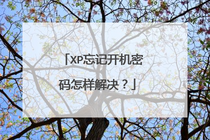 XP忘记开机密码怎样解决?