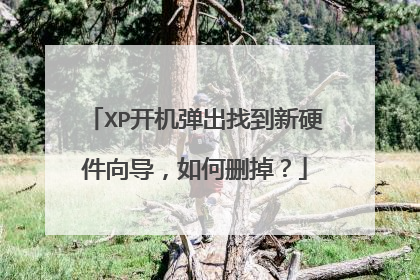XP开机弹出找到新硬件向导,如何删掉?
