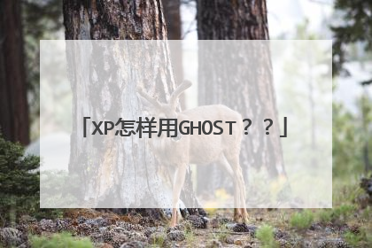 XP怎样用GHOST??