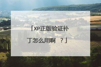XP正版验证补丁怎么用啊 ?