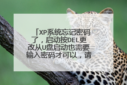 XP系统忘记密码了，启动按DEL更改从U盘启动也需要输入密码才可以，请问如何去掉密码？
