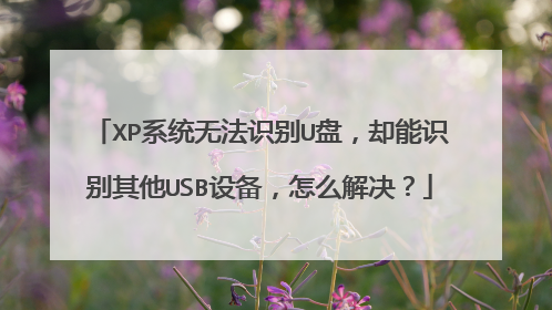 XP系统无法识别U盘，却能识别其他USB设备，怎么解决？
