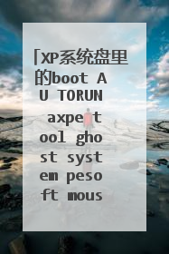 XP系统盘里的boot AU TORUN axpe tool ghost system pesoft mouse 这几个文件是什么意思