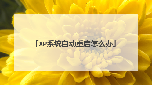 XP系统自动重启怎么办