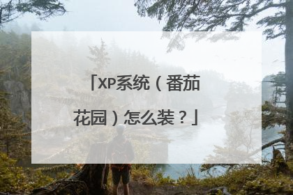 XP系统(番茄花园)怎么装?