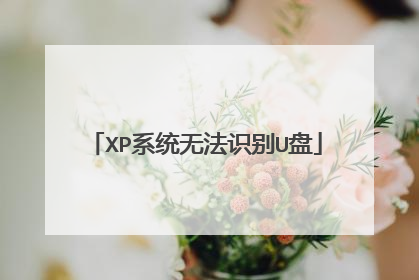 XP系统无法识别U盘