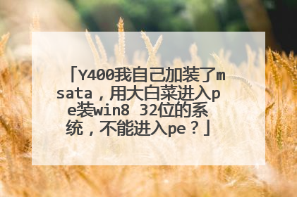 Y400我自己加装了msata,用大白菜进入pe装win8 32位的系统,不能进入pe?