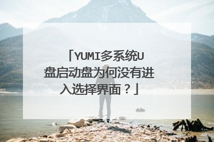 YUMI多系统U盘启动盘为何没有进入选择界面?