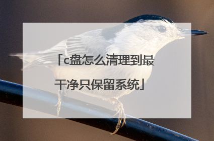 c盘怎么清理到最干净只保留系统