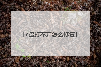 c盘打不开怎么修复