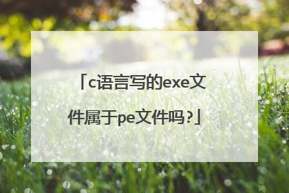 c语言写的exe文件属于pe文件吗?